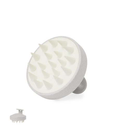 20560 — Emulsionante Nocote