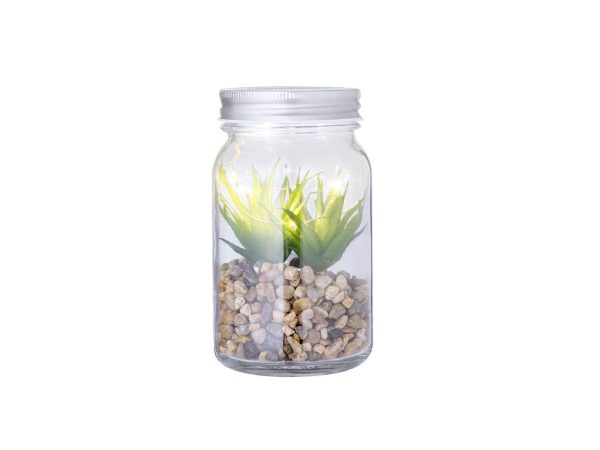 20608 — Planta Decorativa Kyala
