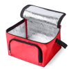 20623 — Bolsa Refrigeradora Radant