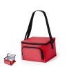20623 — Bolsa Refrigeradora Radant