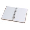 20951-D2 20951 — Caderno Sementes Astrida