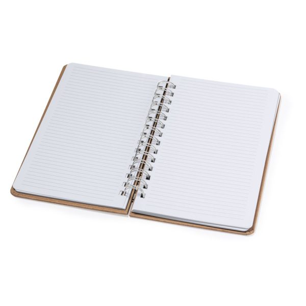20951-D2 20951 — Caderno Sementes Astrida