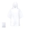 16589 — Poncho Reizon